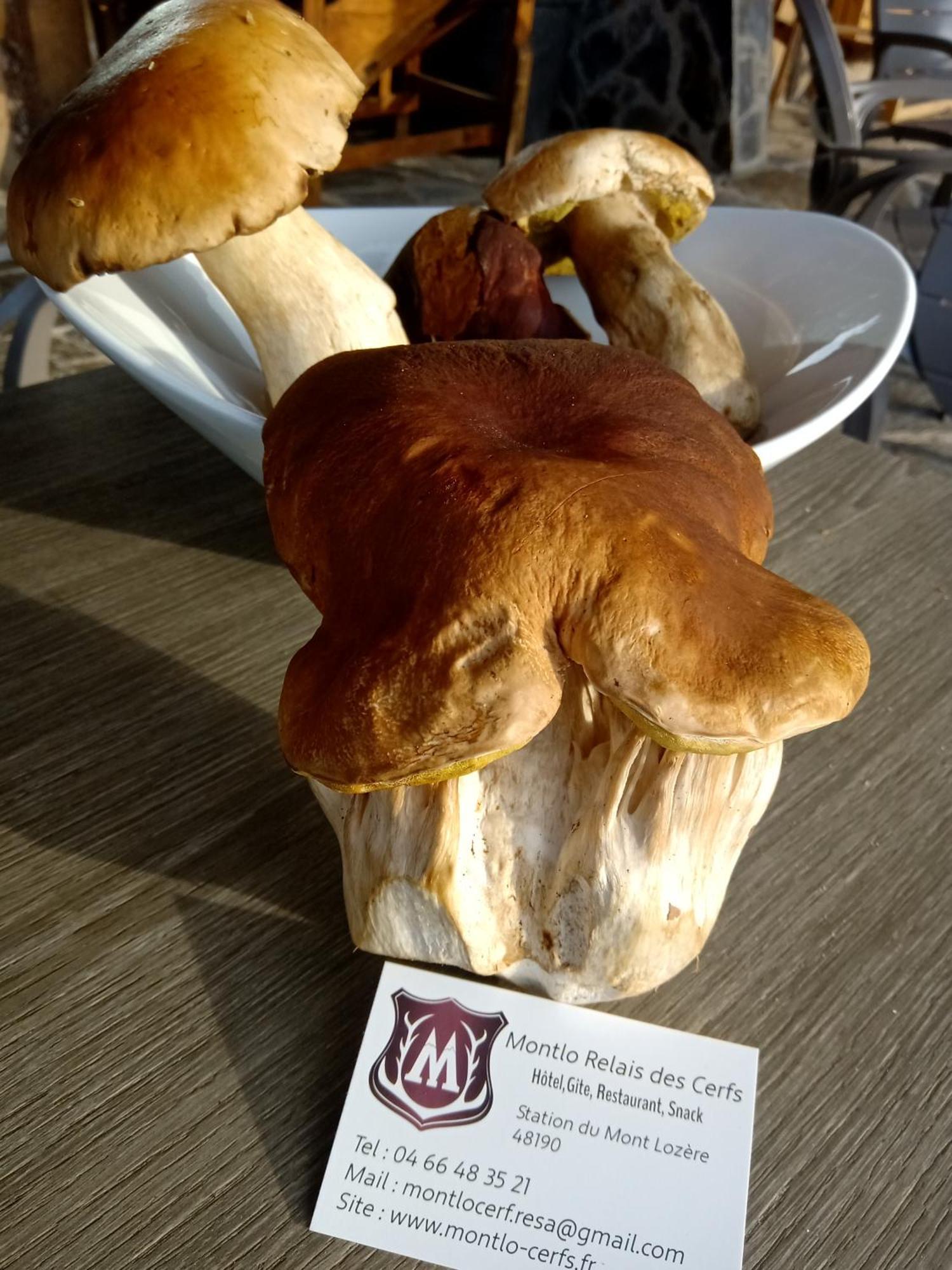 Cubieres Montlo Relais Des Cerfs酒店 外观 照片